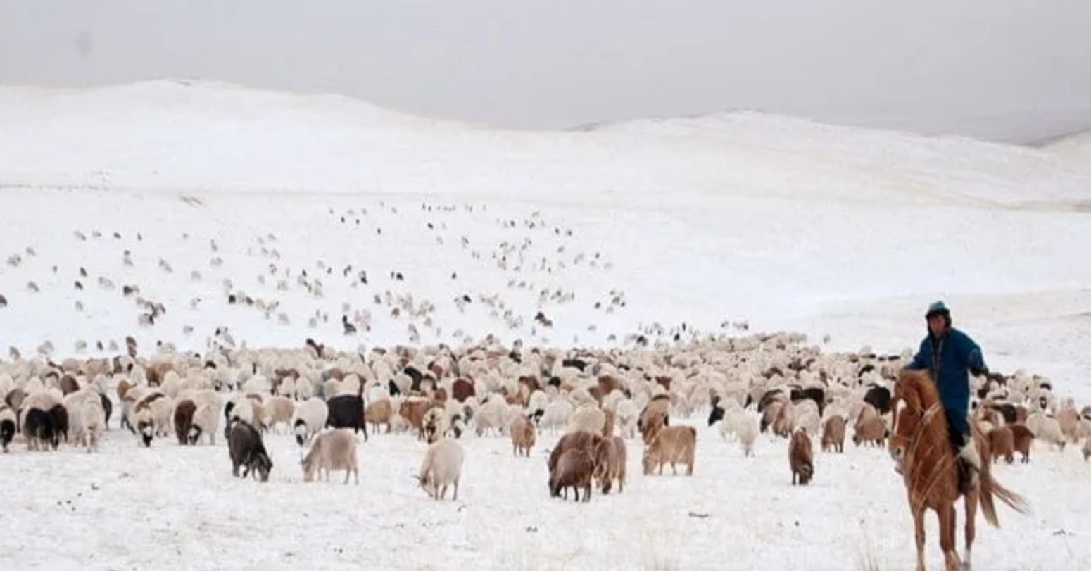 मङ्गोलियाको ६४ प्रतिशतभन्दा बढी भूभागमा हिउँ