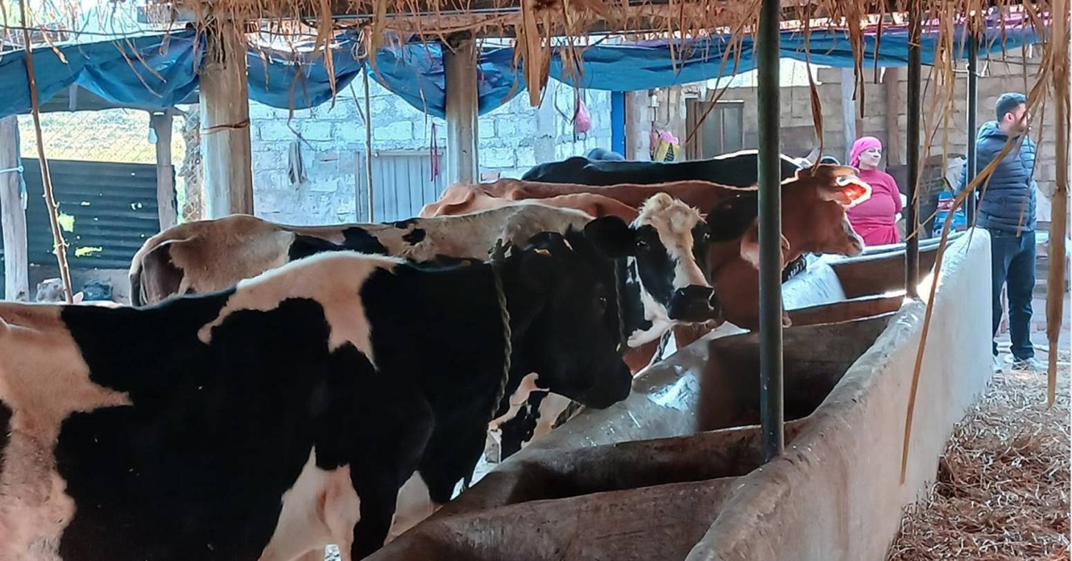 व्यावसायिक पशुपालनबाट वार्षिक १२ लाख आम्दानी