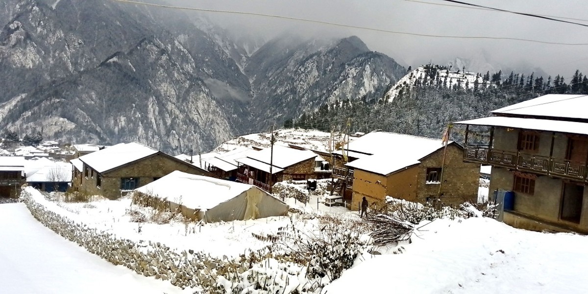 हुम्लामा बिहानैदेखि बाक्लो हिमपात