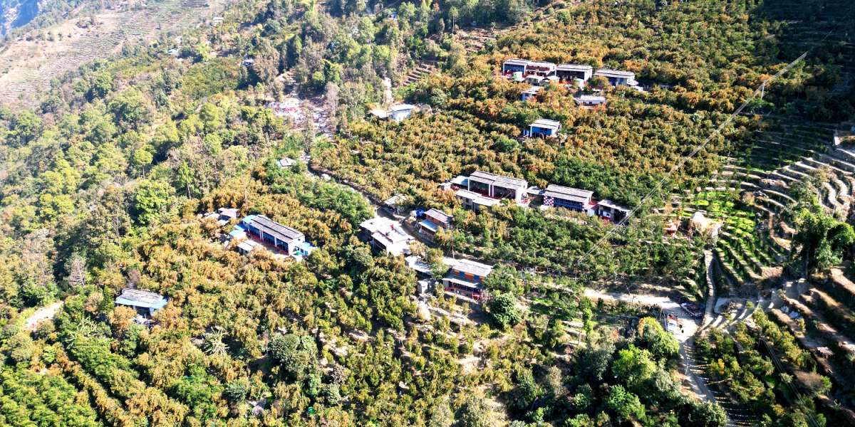 बाँसखर्क अर्थात् सुन्तलाखर्क :  पाखैभरि पहेँलपुर सुन्तला