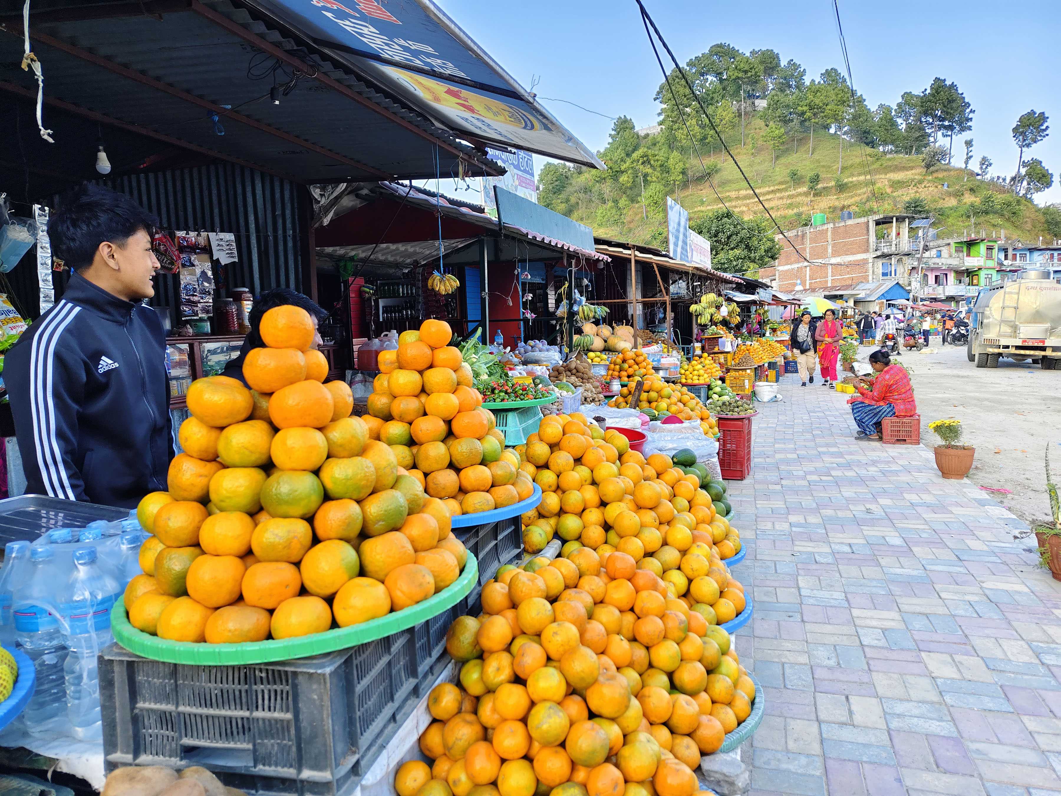 जुनार र सुन्तलाको व्यापार बिपी (तस्बिरहरू)