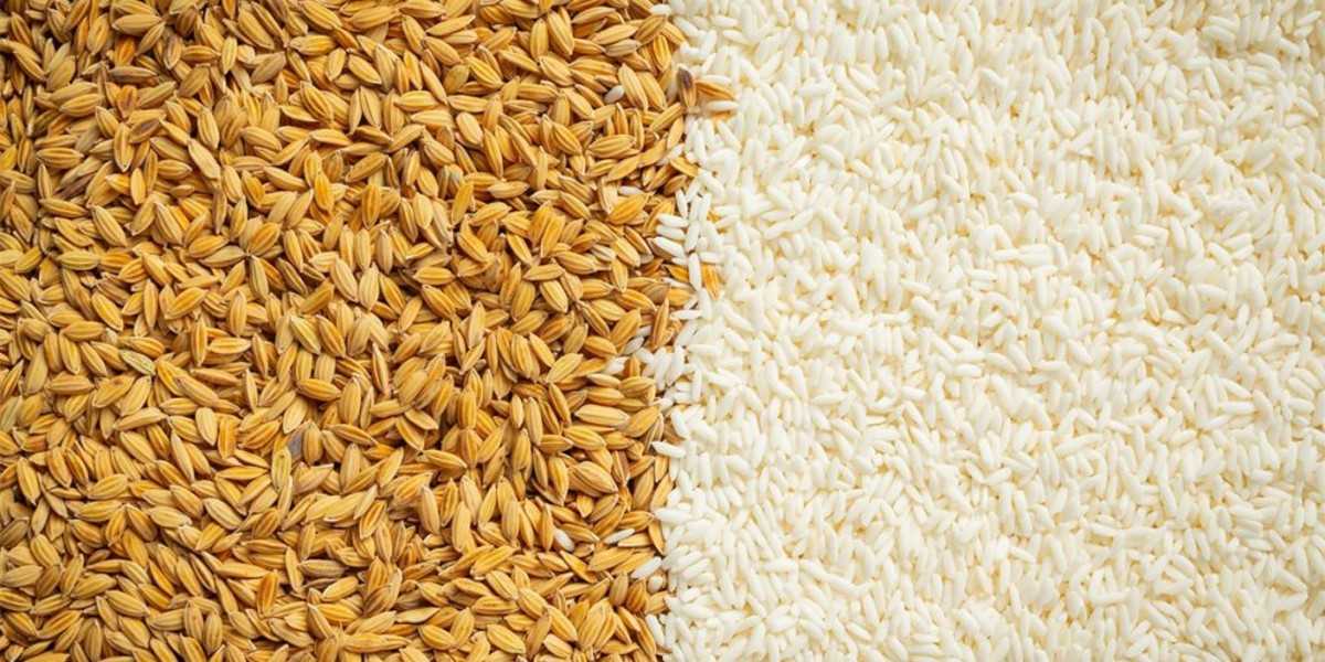 ६ महिनामा साढे २० अर्बको धानचामल आयात