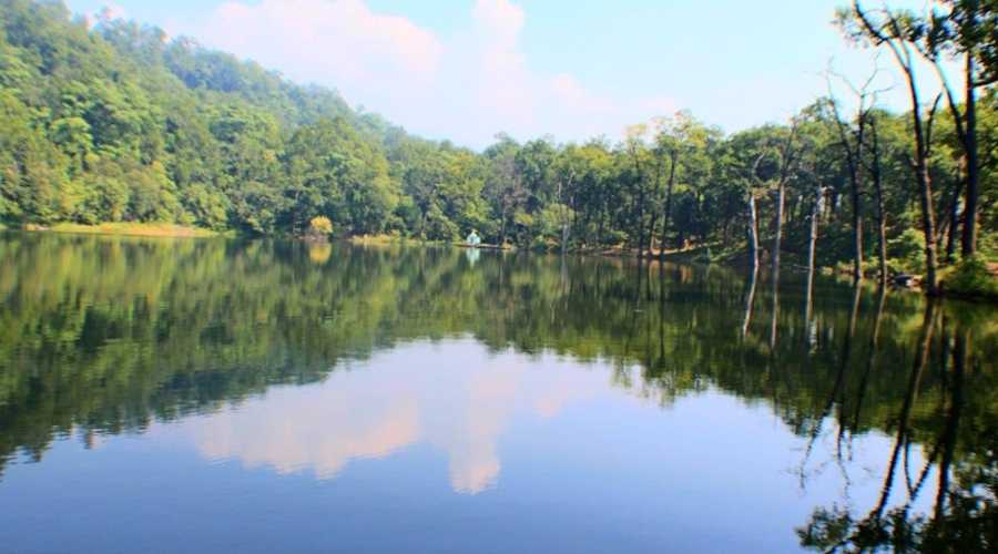 शनिश्चरे तालमा १६ हजार माछाका भुरा छोडियो